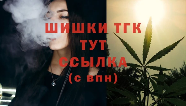 сатива Армянск