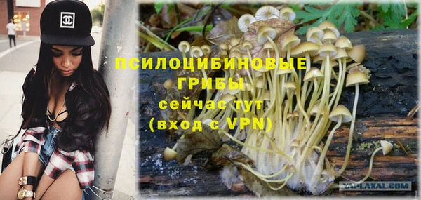 jwh Арсеньев