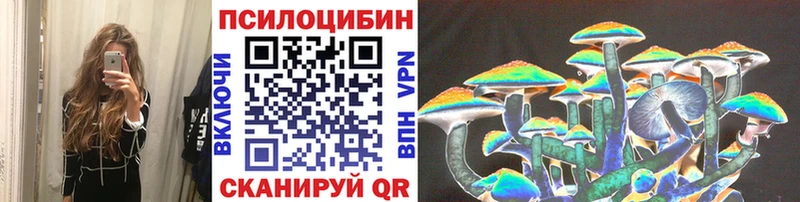 Галлюциногенные грибы Psilocybe  Сатка 